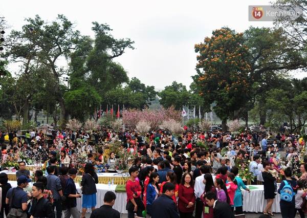 SỰ KIỆN LỄ HỘI HOA ANH ĐÀO NHẬT BẢN